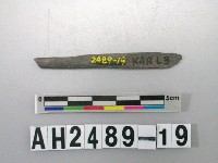 藏品(磨製石針)的圖片